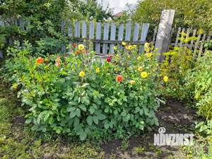 Дом 36м&sup2;, 1-этажный, участок 6 сот.  