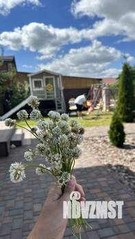 Коттедж 150м², 2-этажный, участок 8 сот.  