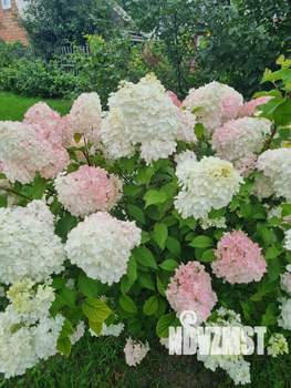 Дом 123м², 2-этажный, участок 6 сот.  