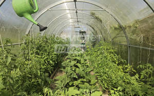 Дом 114м², 2-этажный, участок 6 сот.  