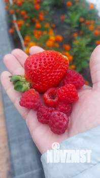 Дом 35м&sup2;, 2-этажный, участок 5 сот.  