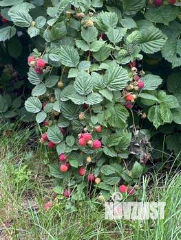 Дом 30м&sup2;, 1-этажный, участок 6 сот.  