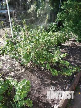 Дача 30м², 1-этажный, участок 5 сот.  