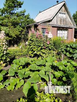 Дом 49м&sup2;, 2-этажный, участок 6 сот.  