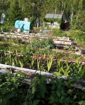 Дом 15м&sup2;, 2-этажный, участок 14 сот.  