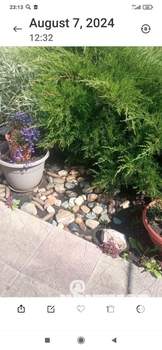 Дом 52м&sup2;, 1-этажный, участок 12 сот.  