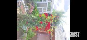 Дом 40м², 2-этажный, участок 5 сот.  