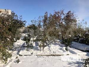 Дом 84м&sup2;, 1-этажный, участок 639 сот.  