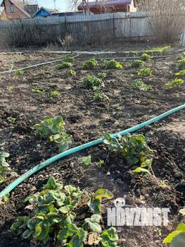 Дом 60м&sup2;, 2-этажный, участок 7 сот.  