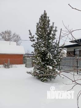 Дом 33м&sup2;, 1-этажный, участок 8 сот.  