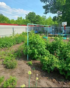 Дом 31м&sup2;, 1-этажный, участок 5 сот.  