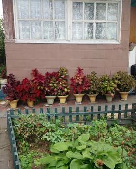 Дом 27м&sup2;, 2-этажный, участок 6 сот.  