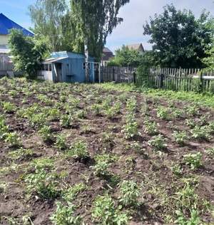 Дом 30м&sup2;, 2-этажный, участок 6 сот.  