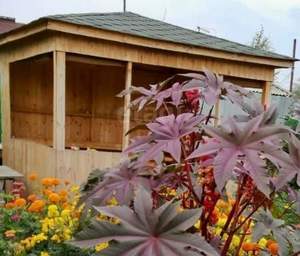 Дом 130м&sup2;, 1-этажный, участок 10 сот.  