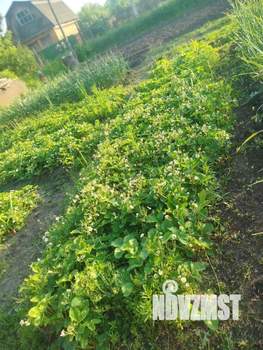 Дом 30м&sup2;, 1-этажный, участок 7 сот.  