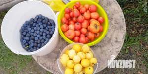 Дом 30м&sup2;, 1-этажный, участок 6 сот.  