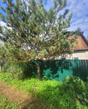 Дом 54м&sup2;, 1-этажный, участок 5 сот.  