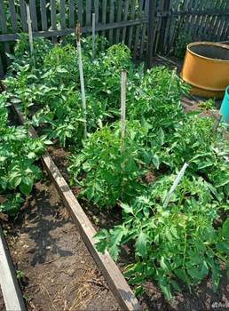 Дом 31м&sup2;, 1-этажный, участок 5 сот.  