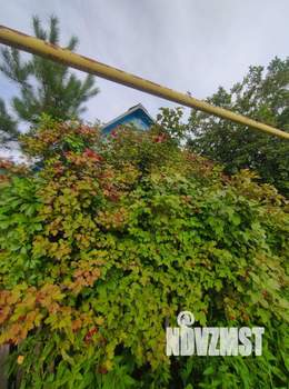 Дом 25м&sup2;, 1-этажный, участок 6 сот.  