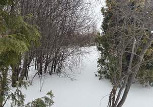 Дом 35м&sup2;, 2-этажный, участок 6 сот.  