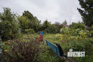 Дом 50м², 1-этажный, участок 5 сот.  