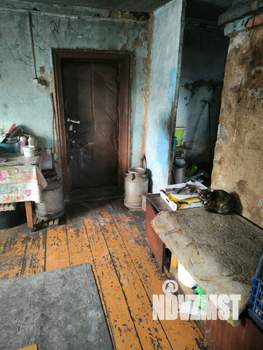 Дом 47м&sup2;, 1-этажный, участок 5 сот.  