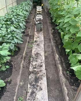 Дом 50м&sup2;, 2-этажный, участок 5 сот.  