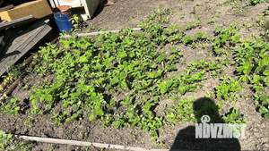 Дом 30м&sup2;, 2-этажный, участок 7 сот.  