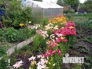 Дача 70м², 2-этажный, участок 6 сот.  