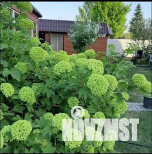 Дом 38м&sup2;, 1-этажный, участок 5 сот.  