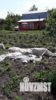 Дом 65м&sup2;, 2-этажный, участок 6 сот.  