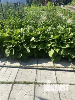 Дом 20м², 1-этажный, участок 6 сот.  