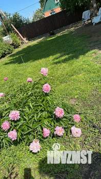 Дом 60м&sup2;, 1-этажный, участок 6 сот.  