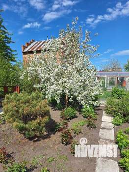 Дом 46м&sup2;, 2-этажный, участок 6 сот.  