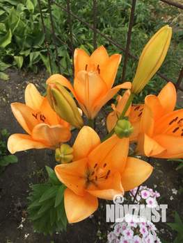 Дом 60м&sup2;, 2-этажный, участок 7 сот.  