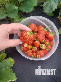 Дом 35м&sup2;, 2-этажный, участок 5 сот.  