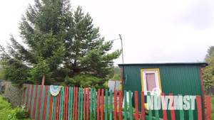 Дом 14м&sup2;, 1-этажный, участок 6 сот.  