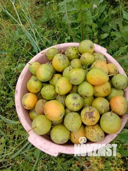 Дом 30м&sup2;, 1-этажный, участок 6 сот.  