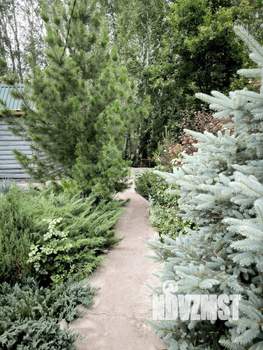 Дом 58м², 2-этажный, участок 6 сот.  