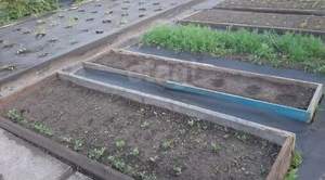 Дом 72м&sup2;, 1-этажный, участок 6 сот.  