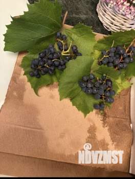 Дом 18м&sup2;, 2-этажный, участок 10 сот.  