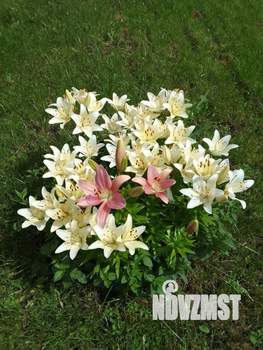 Дом 143м&sup2;, 2-этажный, участок 652 сот.  