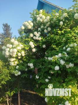 Дом 30м&sup2;, 1-этажный, участок 7 сот.  