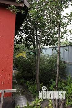 Дом 20м&sup2;, 1-этажный, участок 6 сот.  