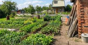 Дом 24м&sup2;, 1-этажный, участок 7 сот.  