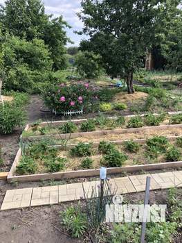 Дом 23м&sup2;, 1-этажный, участок 8 сот.  