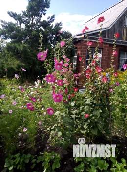 Дом 49м&sup2;, 2-этажный, участок 6 сот.  