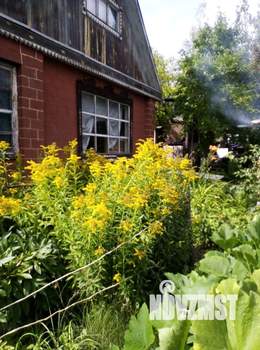 Дом 49м&sup2;, 2-этажный, участок 6 сот.  