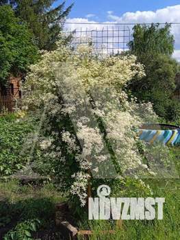 Дом 30м&sup2;, 2-этажный, участок 9 сот.  