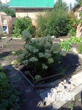 Дача 60м², 2-этажный, участок 5 сот.  